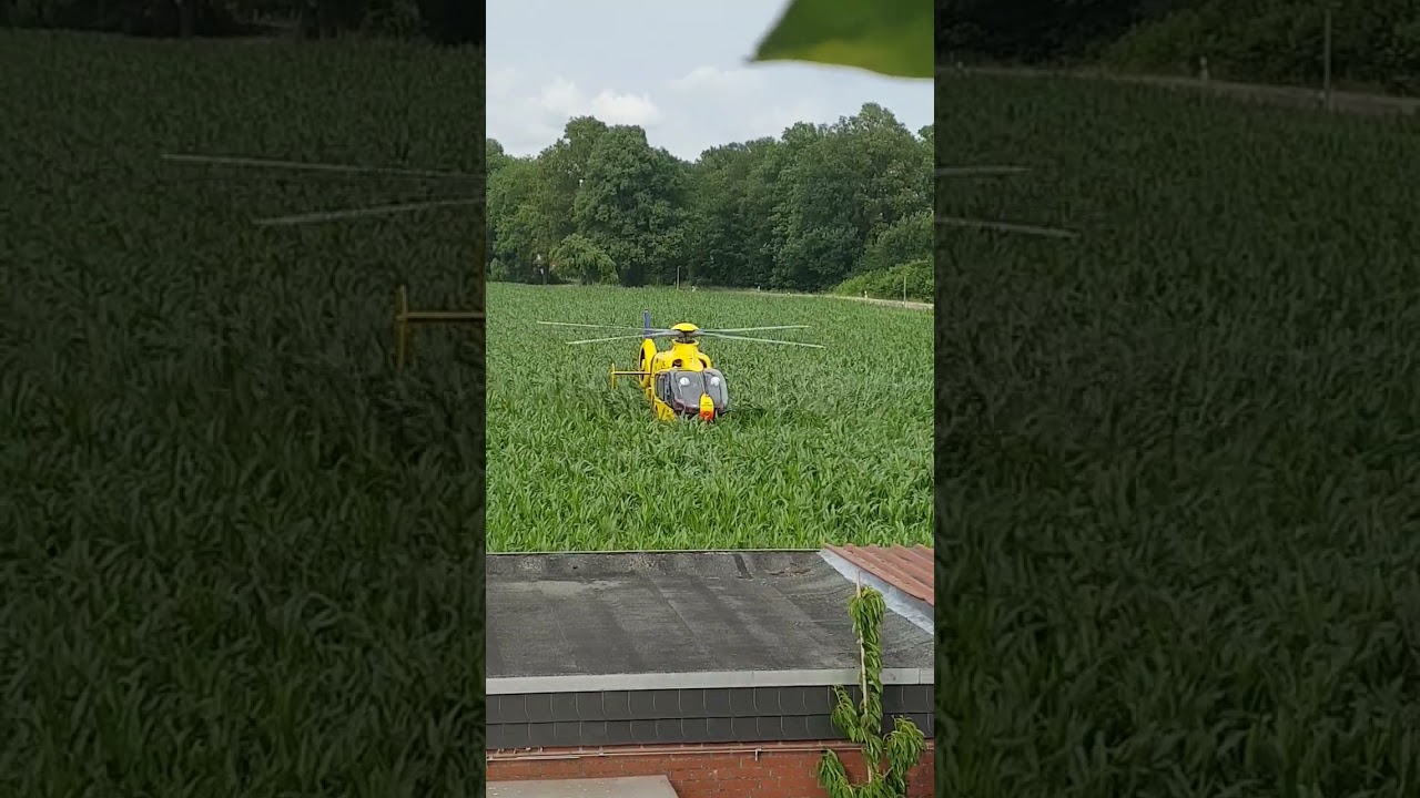 Rettungshubschrauber Wettringen im Maisfeld