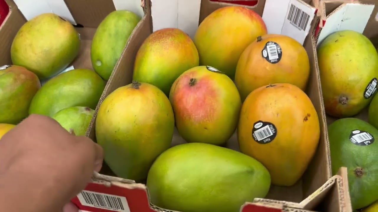 You Won’t Believe What I Saw While Shopping at Sam’s Club