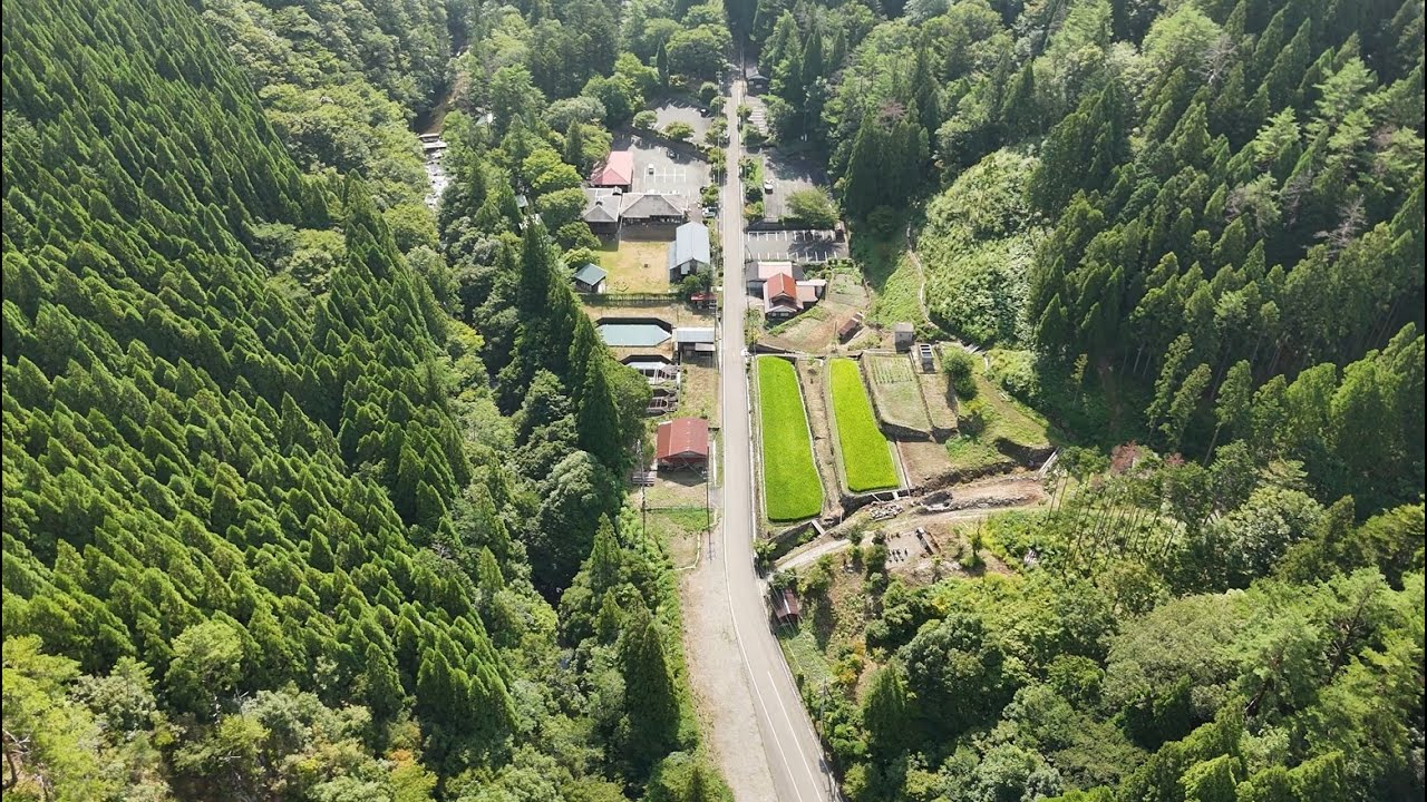 （木洩れ日点滅注意）島根県益田市匹見町 裏匹見狭 夫婦橋 drone view3