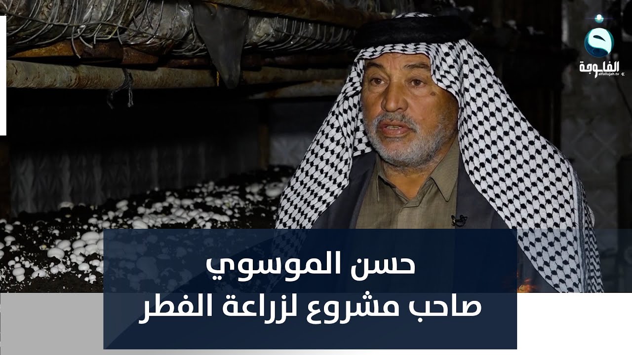 حسن الموسوي.. صاحب مشروع لزراعة الفطر