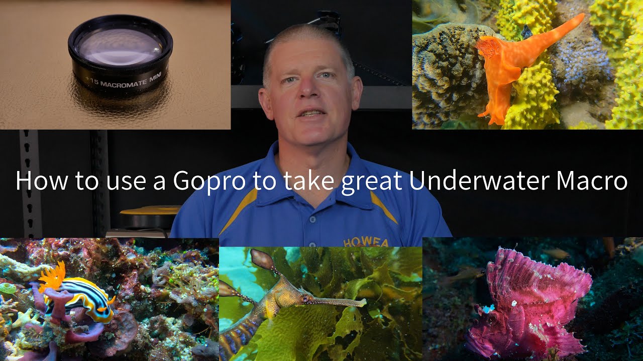 Complete guide to underwater macro using a GoPro