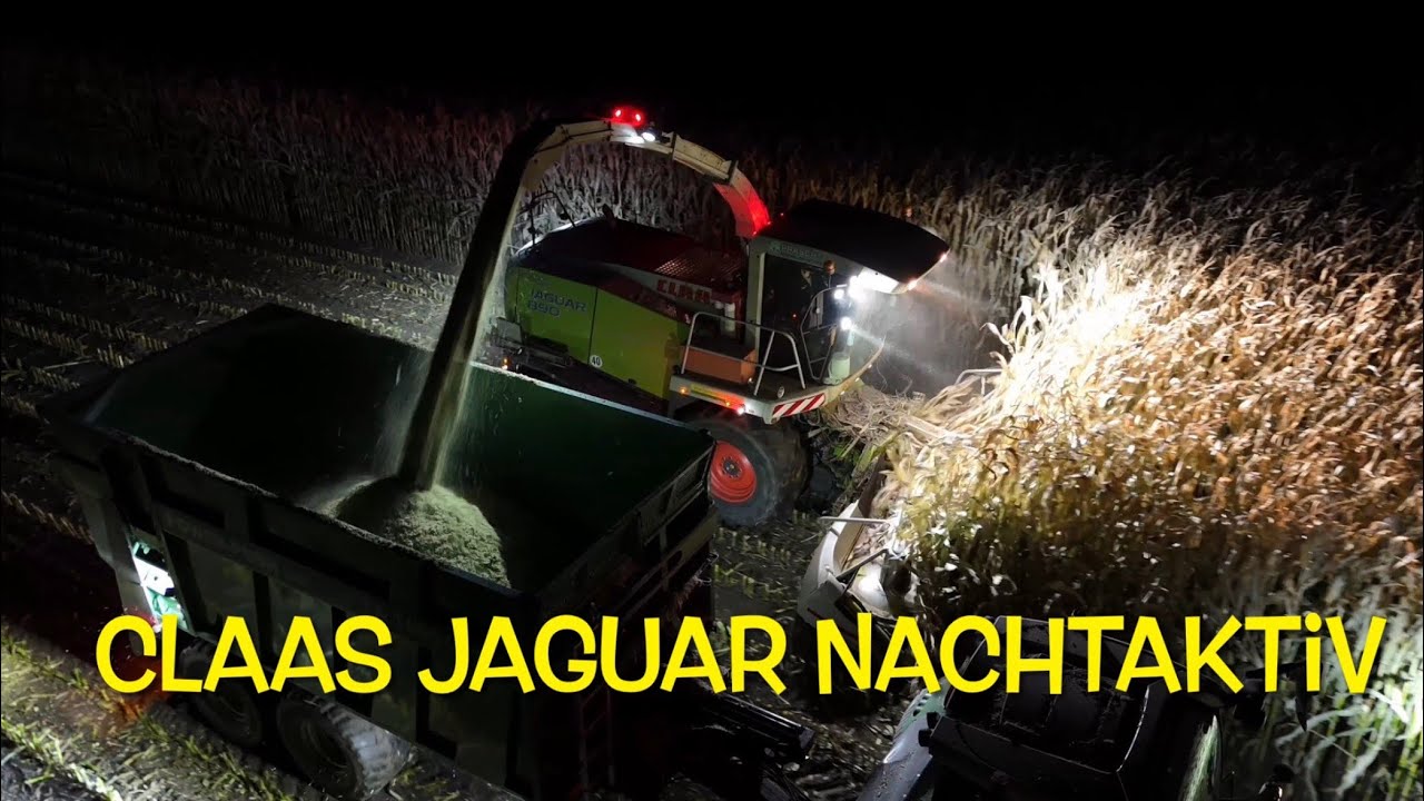 Die Nacht des Maises 2025 The Night of the Corn