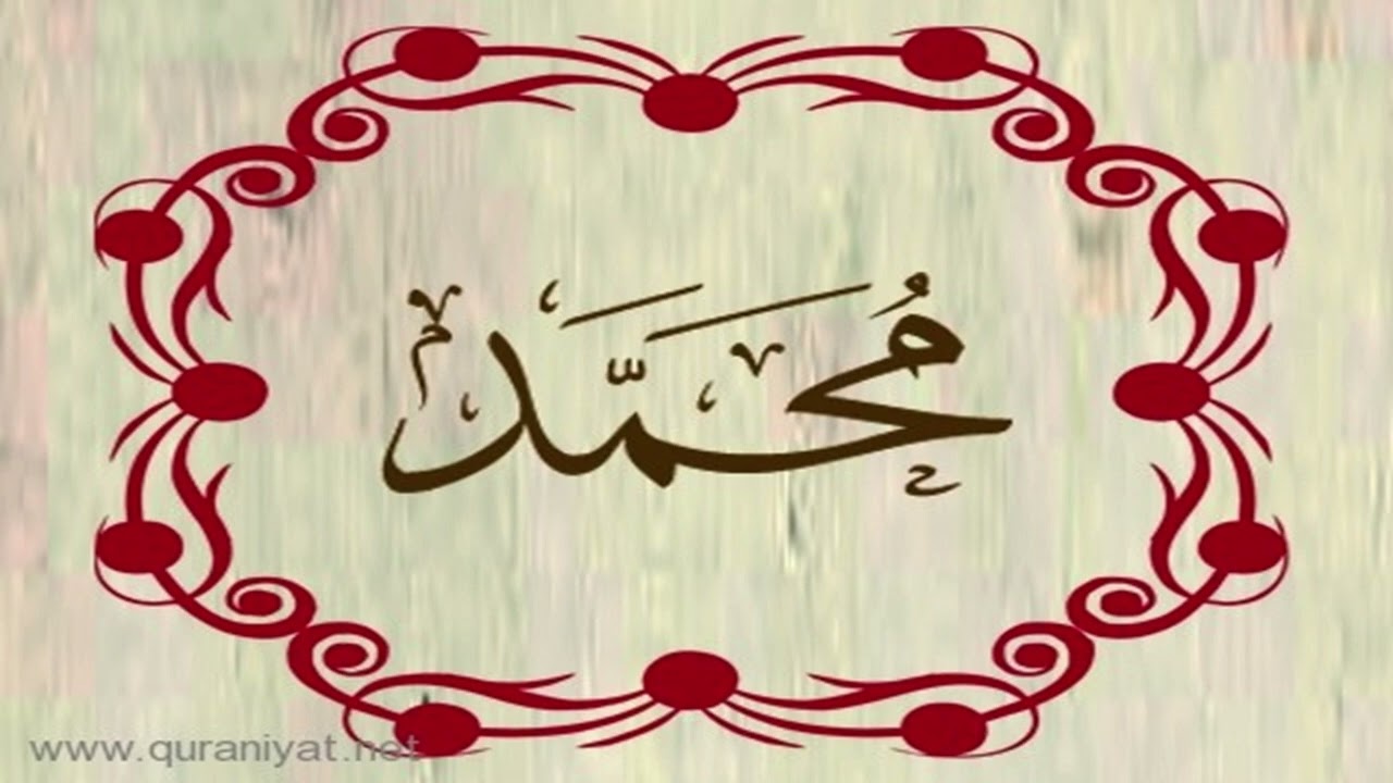 الشيخ أحمد النفيس - سورة محمد