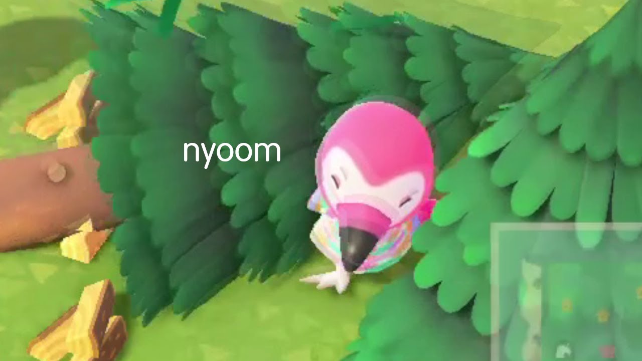 Best/Funniest Animal Crossing New Horizons Clips #7