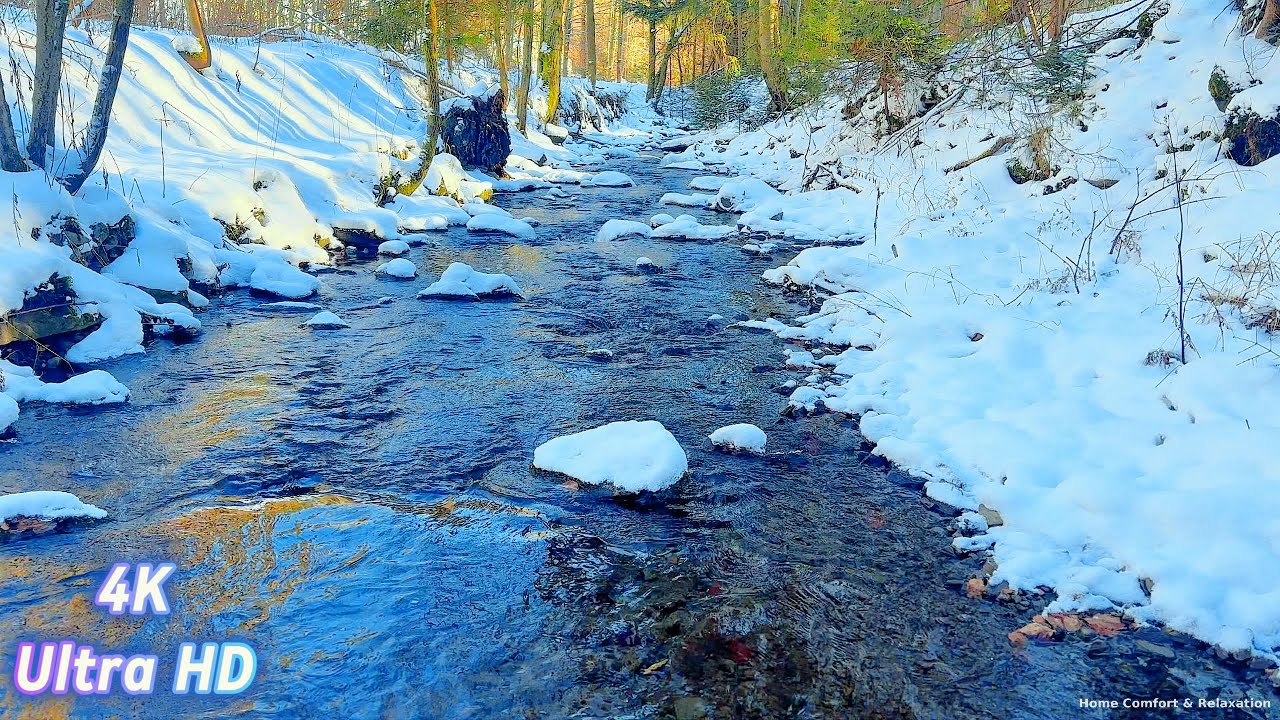 Forest Stream White Noise – Living Nature Sounds for Sleep & Study #nature  #relaxing #water #river
