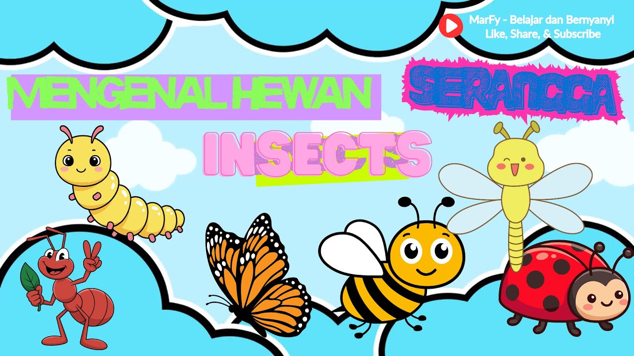 Mengenal Serangga 🐜 | Insects for Kids | Belajar Nama Serangga
