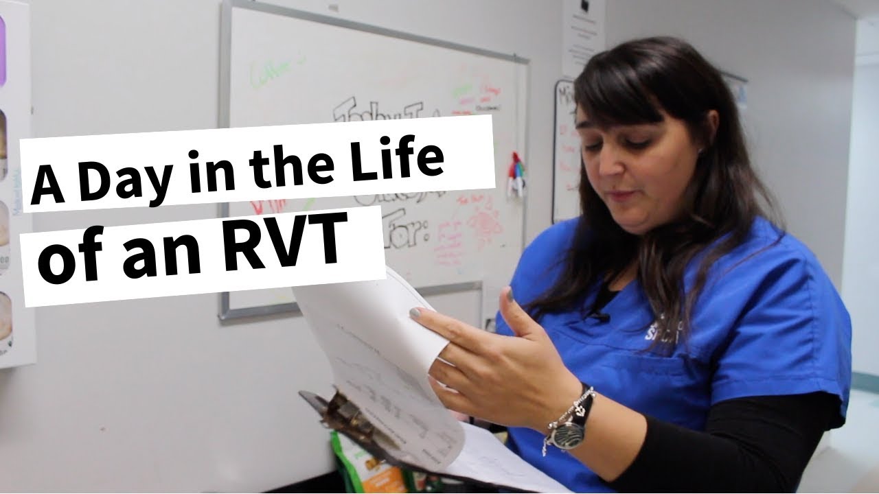 Day in the Life of an Ontario SPCA Registered Veterinary Technician