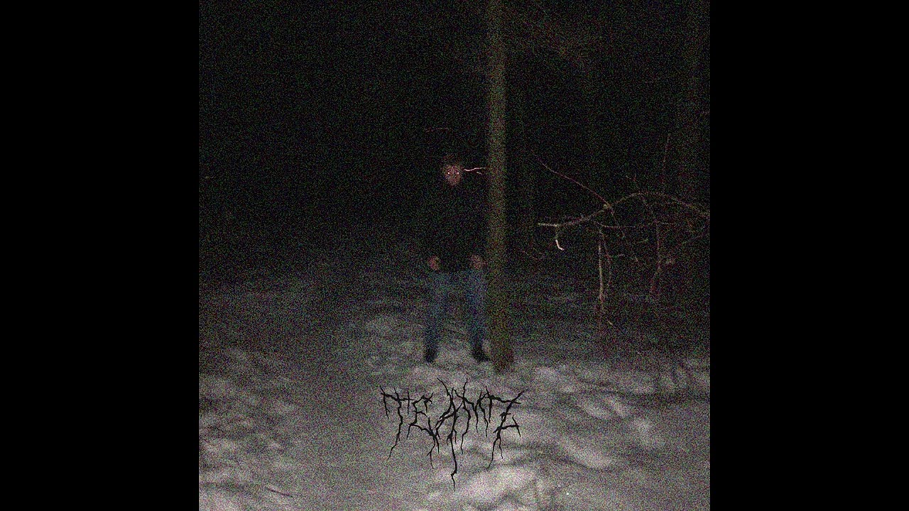 TeamZ - Health (2020)