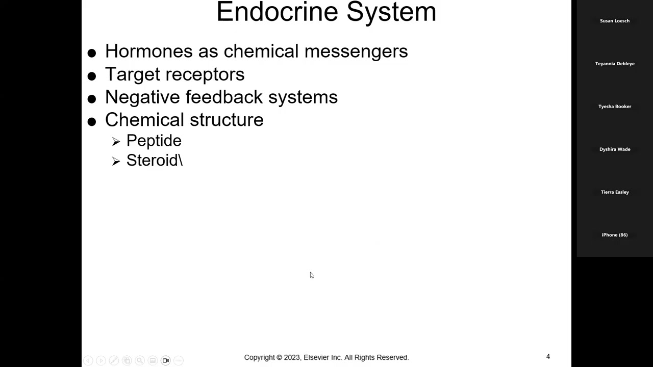 Endocrine sat 1 17 26