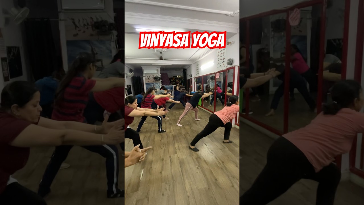 Vinyasa Yoga Sequence #yoga #exercise #ashtangyog #weightloss #youtubeshorts #youtube #ytshorts #yt