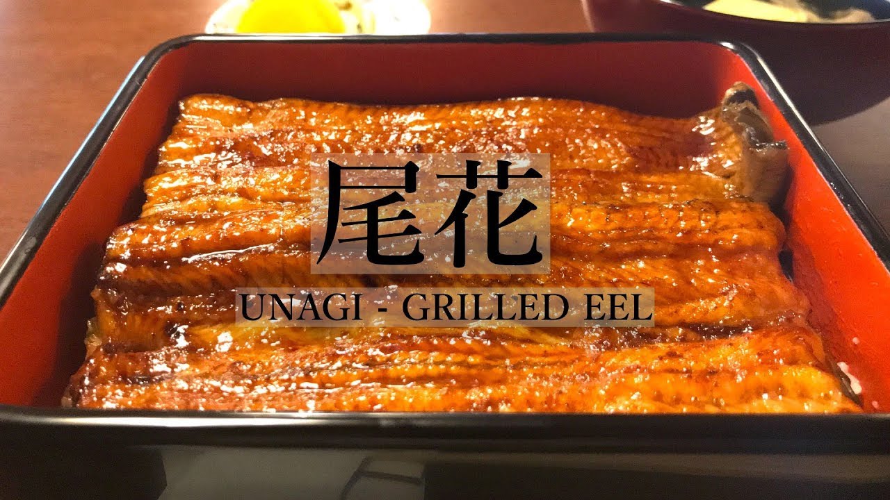 【#うなぎ】鰻の名店「尾花」売切御免の行列攻略法＆料理紹介 | UNAGI - GRILLED EEL at OBANA in TOKYO, JAPAN [Eng Sub]