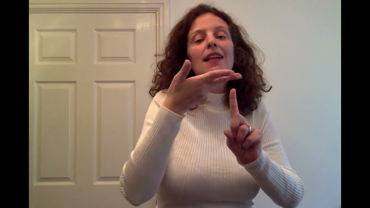 BSL Receptive Practice