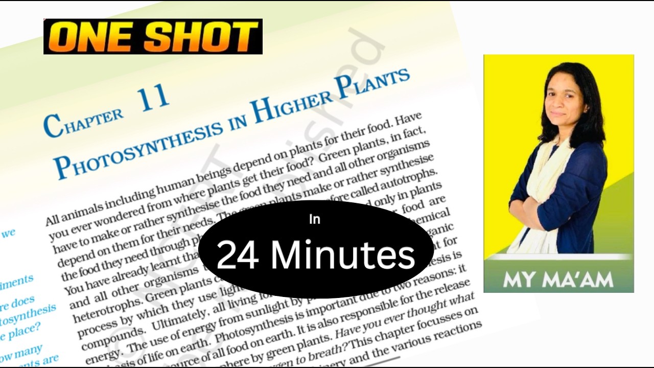 Photosynthesis in higher plants class 11 one shot | Photosynthesis one shot