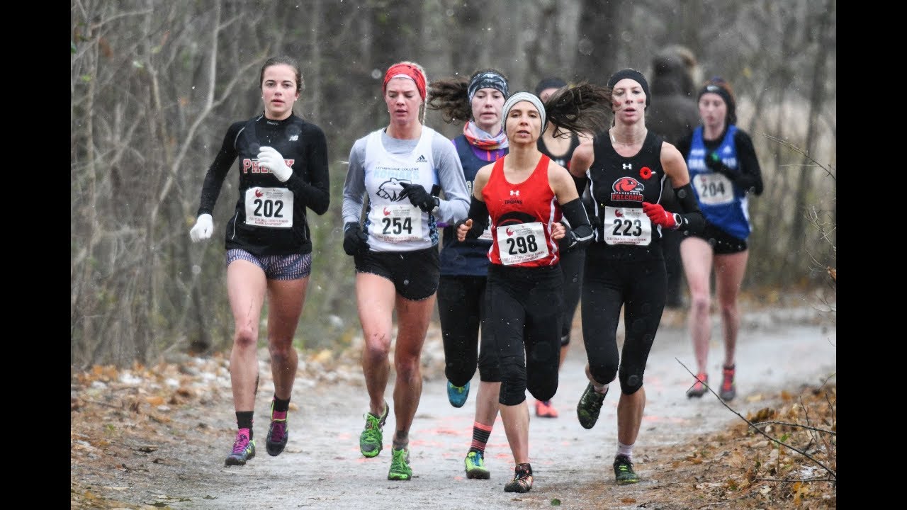 2018 CCAA Women's Cross Country Championships - Nov.10.2018