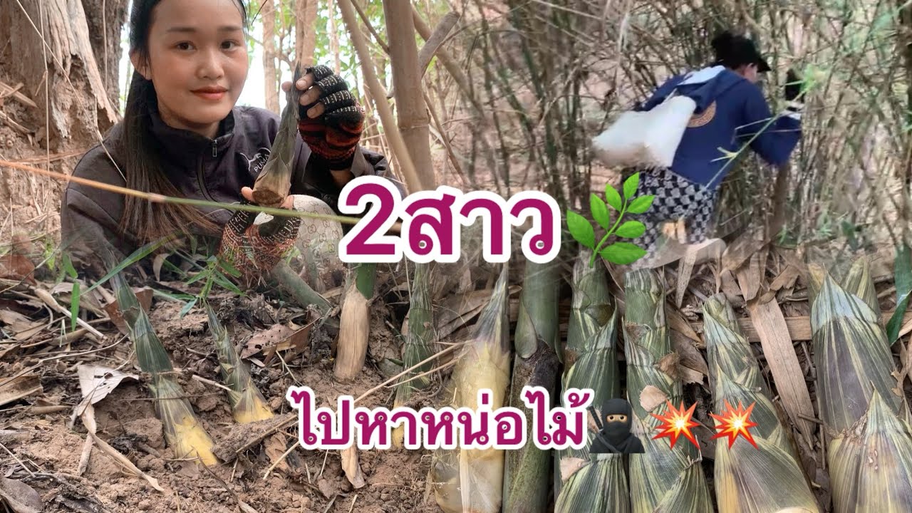 สองสาวหาหน่อไม้