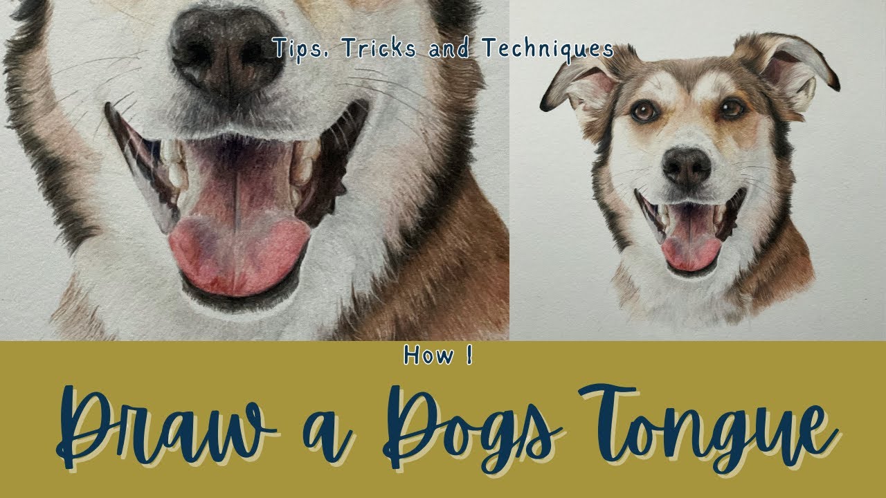 How to Draw a dogs tongue