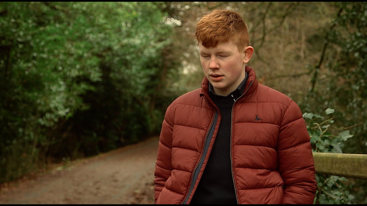 An Bonnán Buí  - Piaras Ó Lorcáin