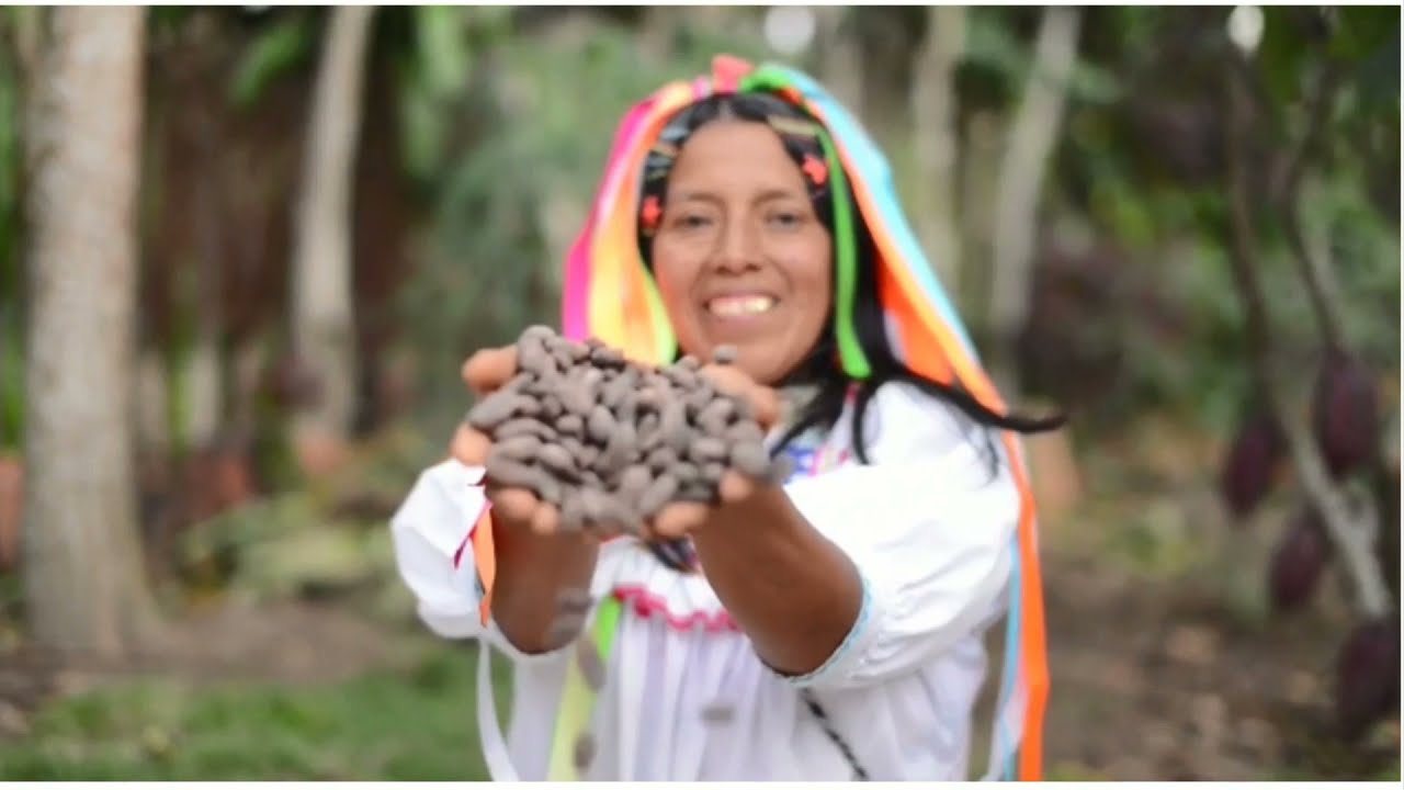 EXPORTACION DEL CACAO EN GRANO A ALEMANIA