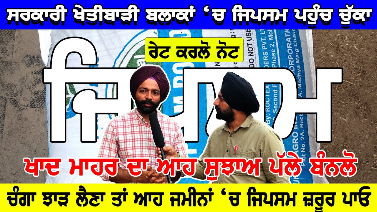 ਖਾਦ ਮਾਹਰ ਦਾ ਆਹ ਸੁਝਾਅ ਪੱਲੇ ਬੰਨਲੋ | ਚੰਗਾ ਝਾੜ ਲੈਣਾ ਤਾਂ ਆਹ ਜਮੀਨਾਂ 'ਚ ਜਿਪਸਮ ਜ਼ਰੂਰ ਪਾਓ | PAP