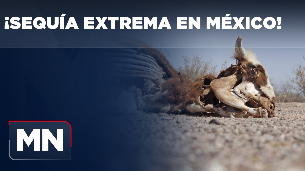 Sequ&iacute;a extrema en M&eacute;xico &iexcl;La situaci&oacute;n es grave!