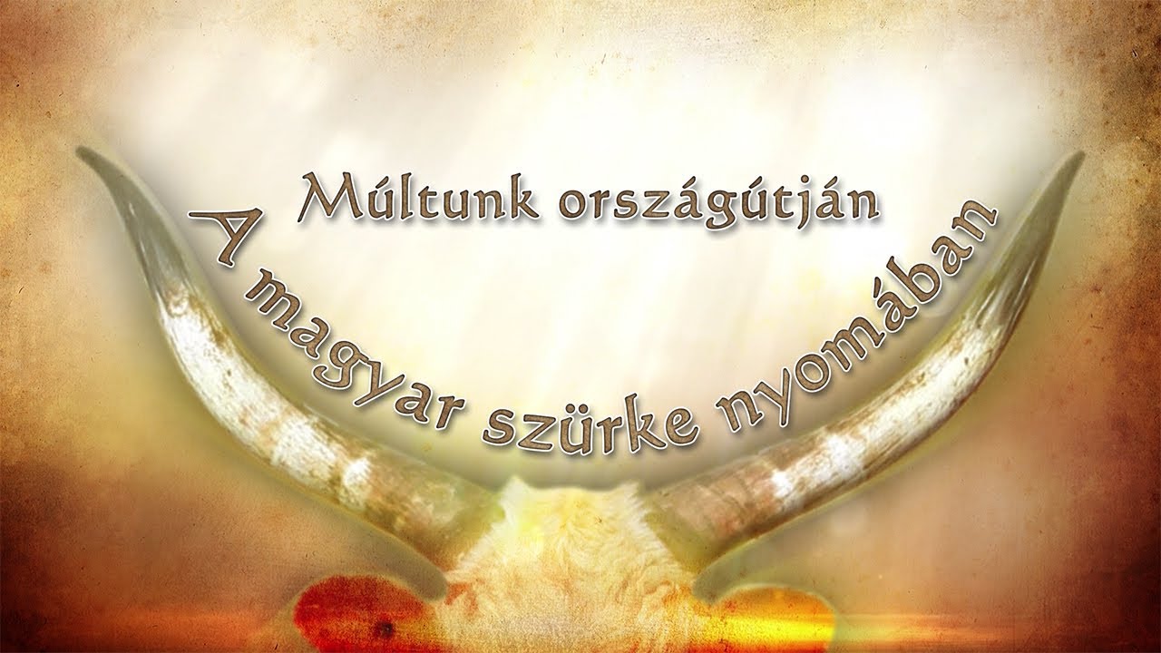MÚLTUNK ORSZÁGÚTJÁN – A magyar szürke nyomában