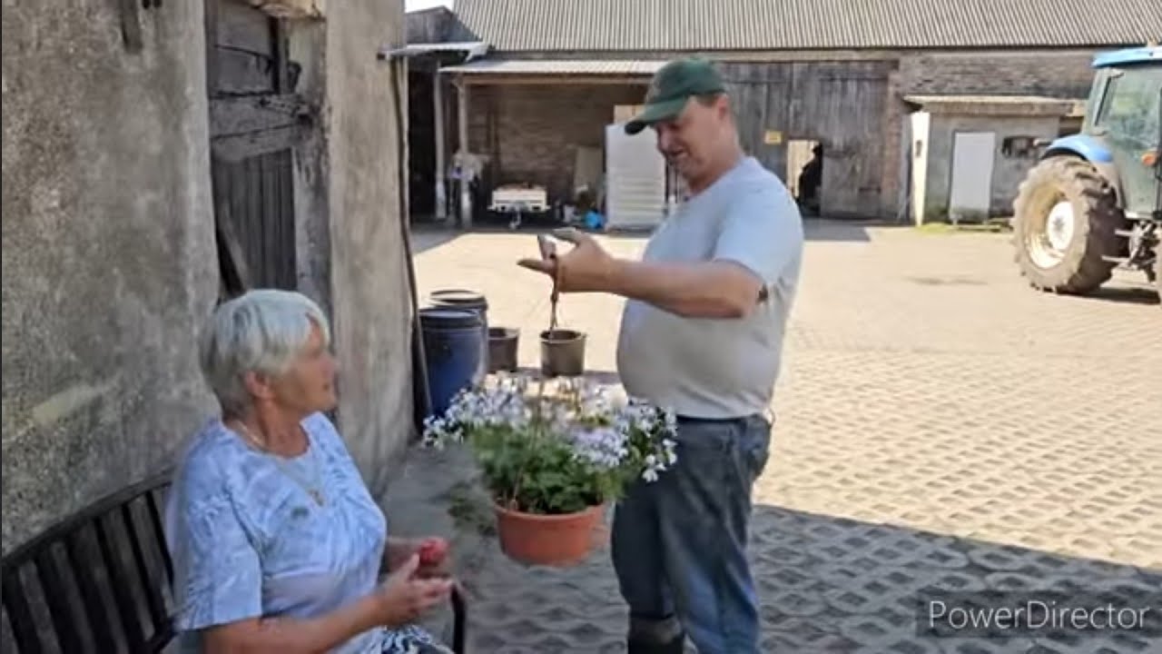 Sekret pięknych pelargoni - mamusia w swoim żywiole