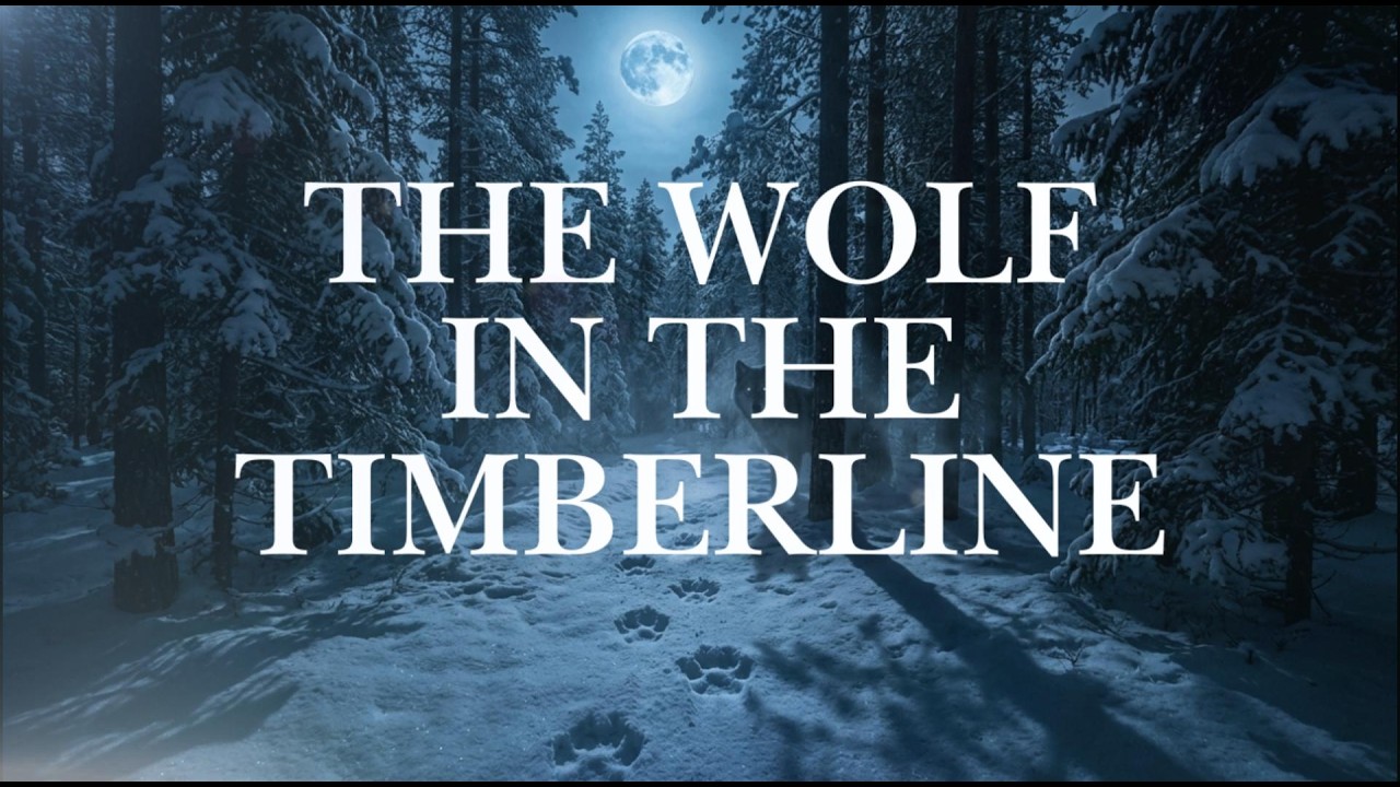 The Wolf in the Timberline — Dark Northern Folklore Blues Rock | Northern Relay