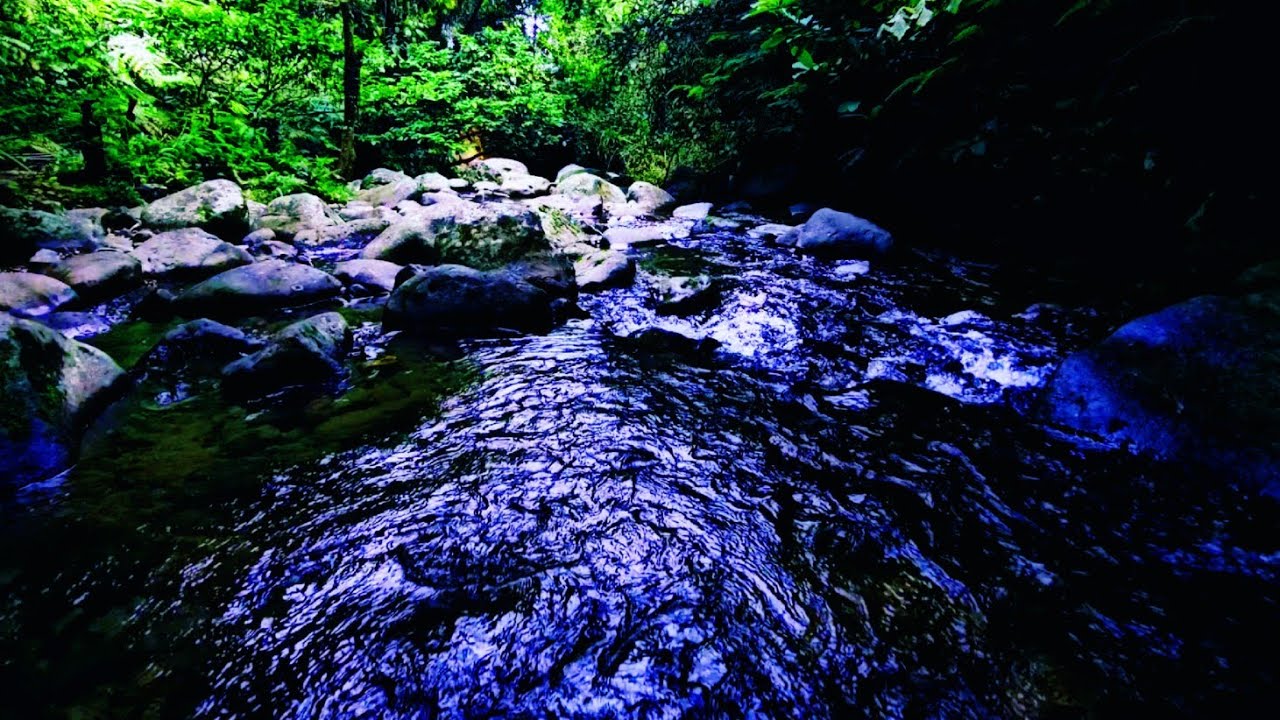 Flowing River Sounds for Focus & Study | Calm Water for Productivity