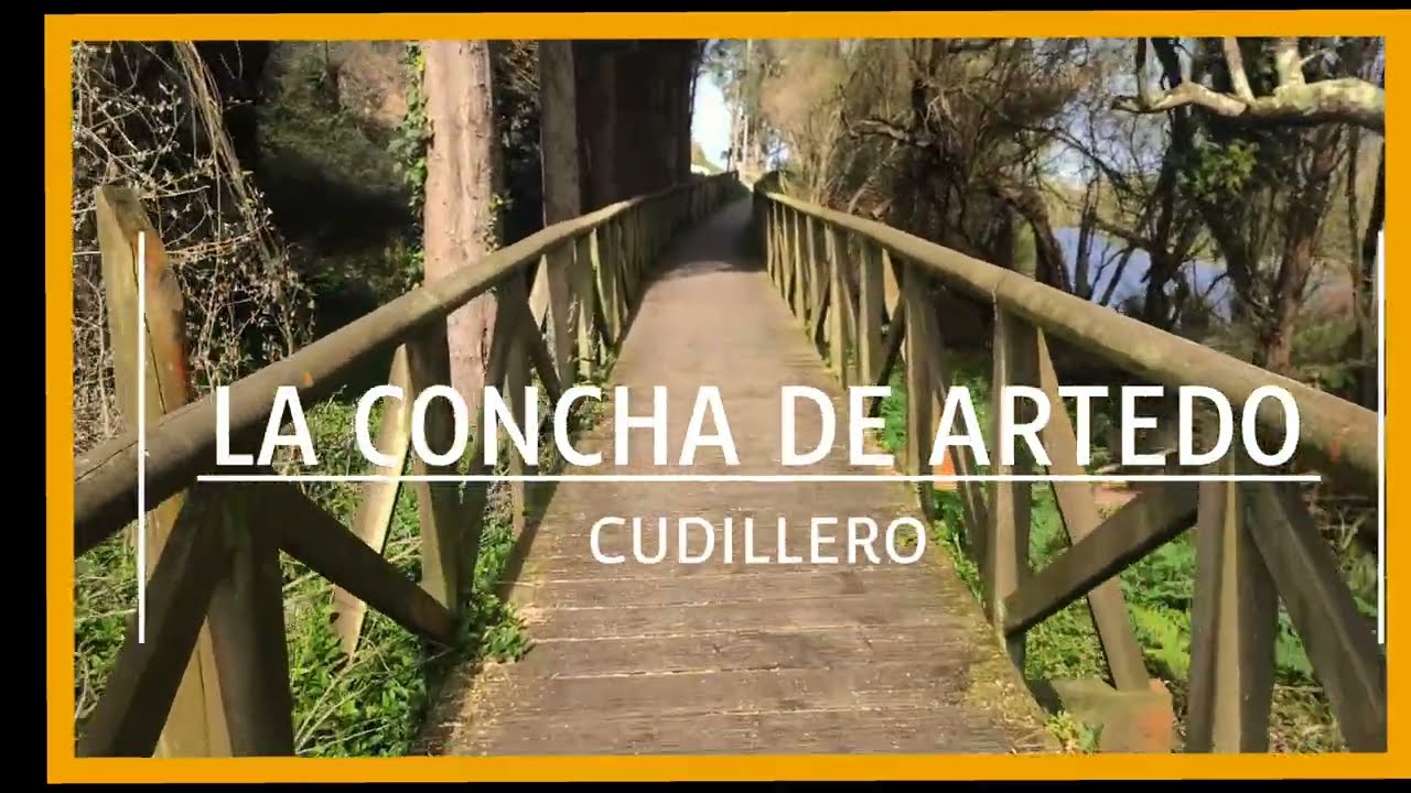 PLAYA CONCHA DE ARTEDO. CUDILLERO   MIKE OLDFIELD.