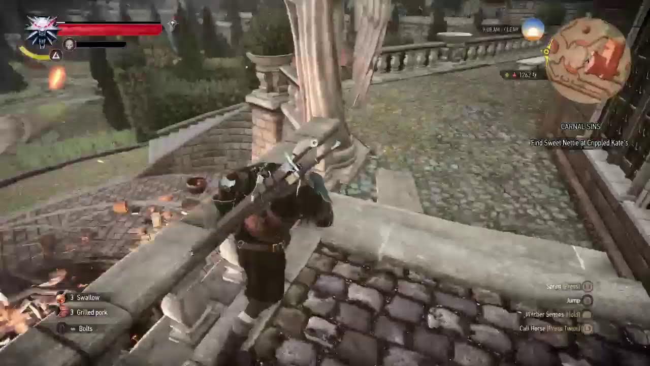 The Witcher 3 First Playthrough part 15