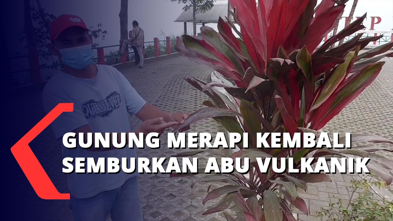 Gunung Merapi Kembali Semburkan Abu Vulkanik