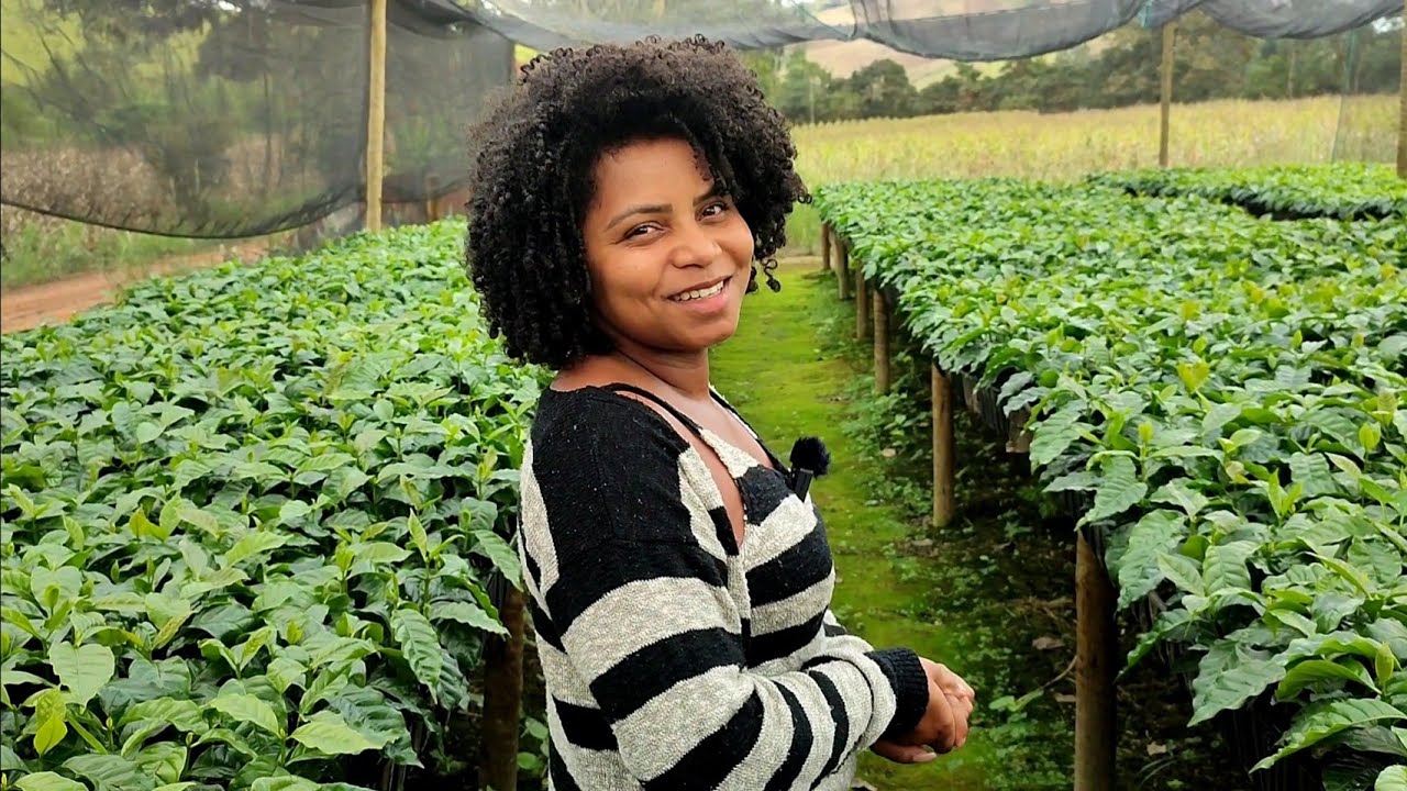 VIVEIRO DE MUDAS DE CAFÉ 🌱 EM TUBETES/MUITA PRODUÇÃO DE MUDAS