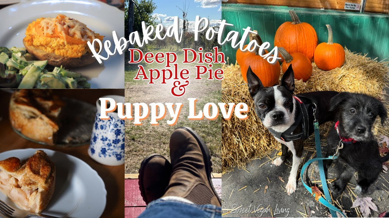 Rebaked Potatoes, Deep Dish Apple Pie, and Puppy Love