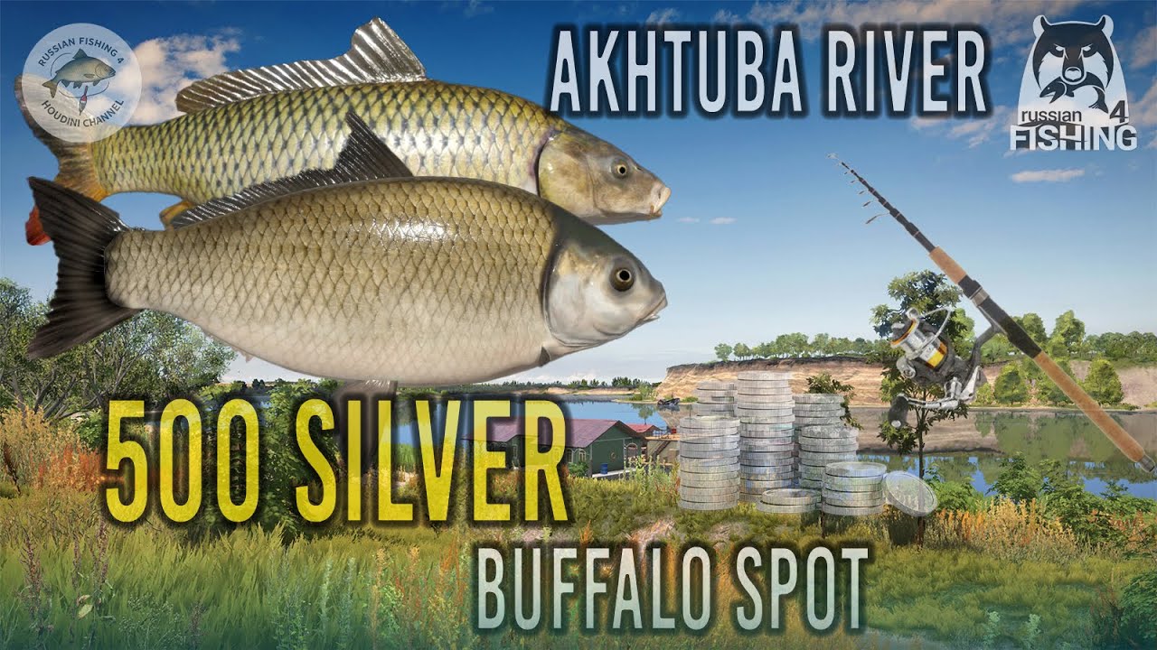📌 BEST Buffalo Fishing Spot in RF4! Akhtuba River Guide – Setup, Bait & Weather Tips