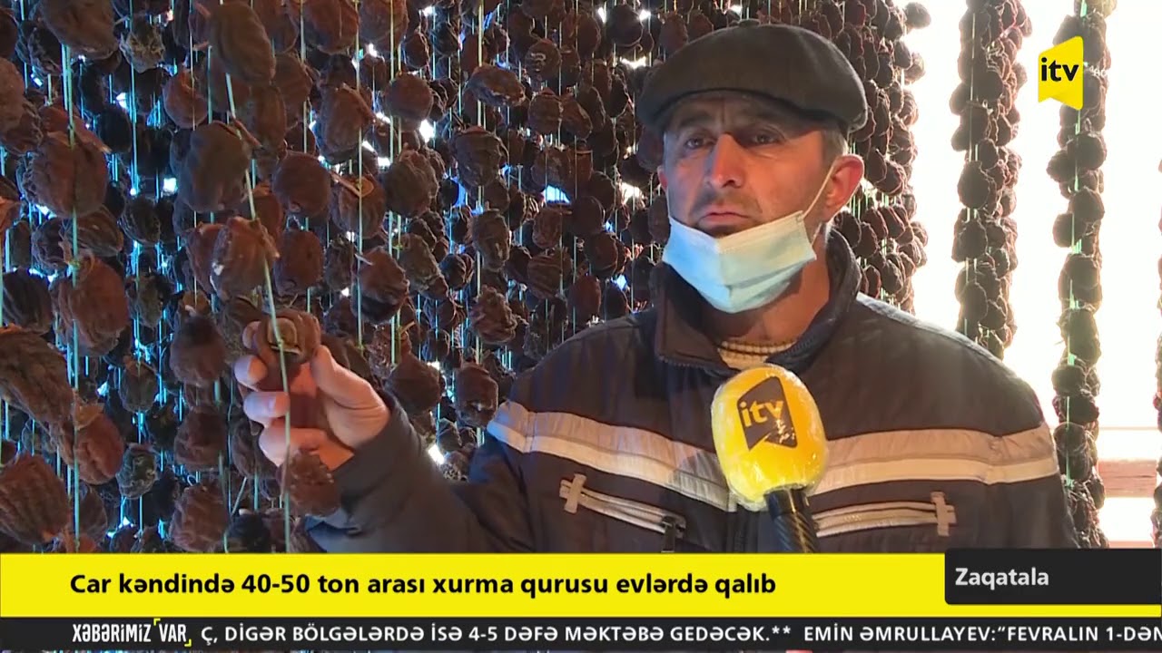 Car kəndində 40-50 ton arası xurma qurusu evlərdə qalıb