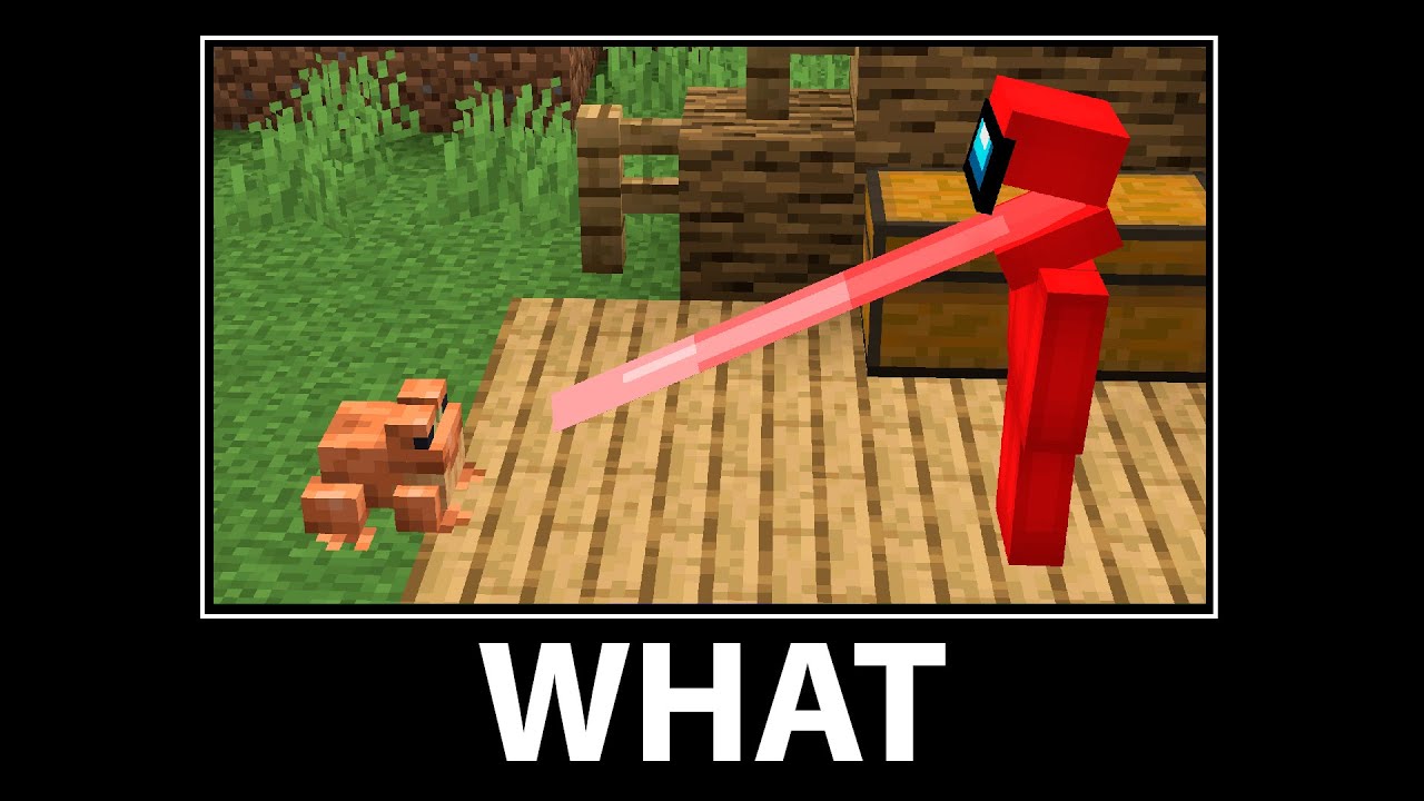 WAIT IS SUS - Compilation #2
