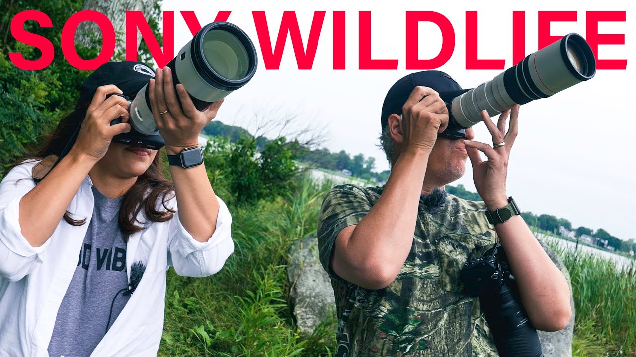Sony Wildlife Cameras & Lenses Review: $900-$20,000
