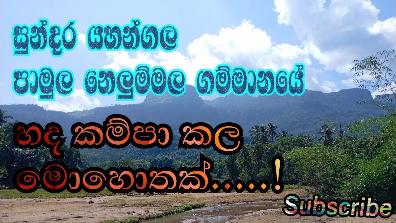 Yahangala naya yama | nelumma | Nelummala gammanaya | නෙලුම්මල නාය යෑම | යහන්ගල