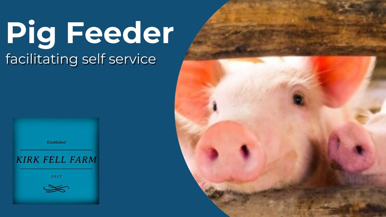 Installing a Bulk Pig Feeder