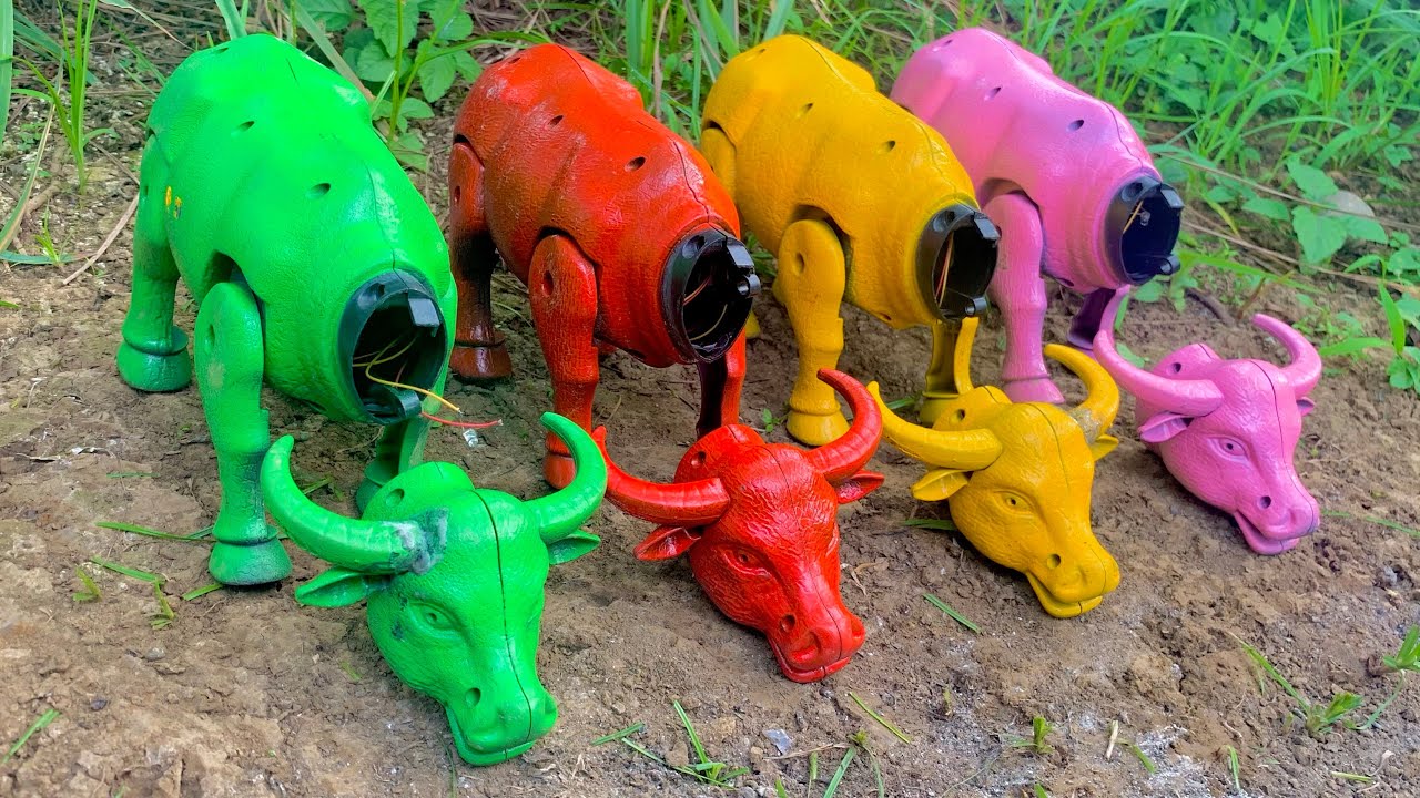 Wow..! Menemukan Dan Merakit Kepala Kerbau Warna Warni,Sapi Moo,Kerbau,Sapi Lucu,Sapu Super.#animals