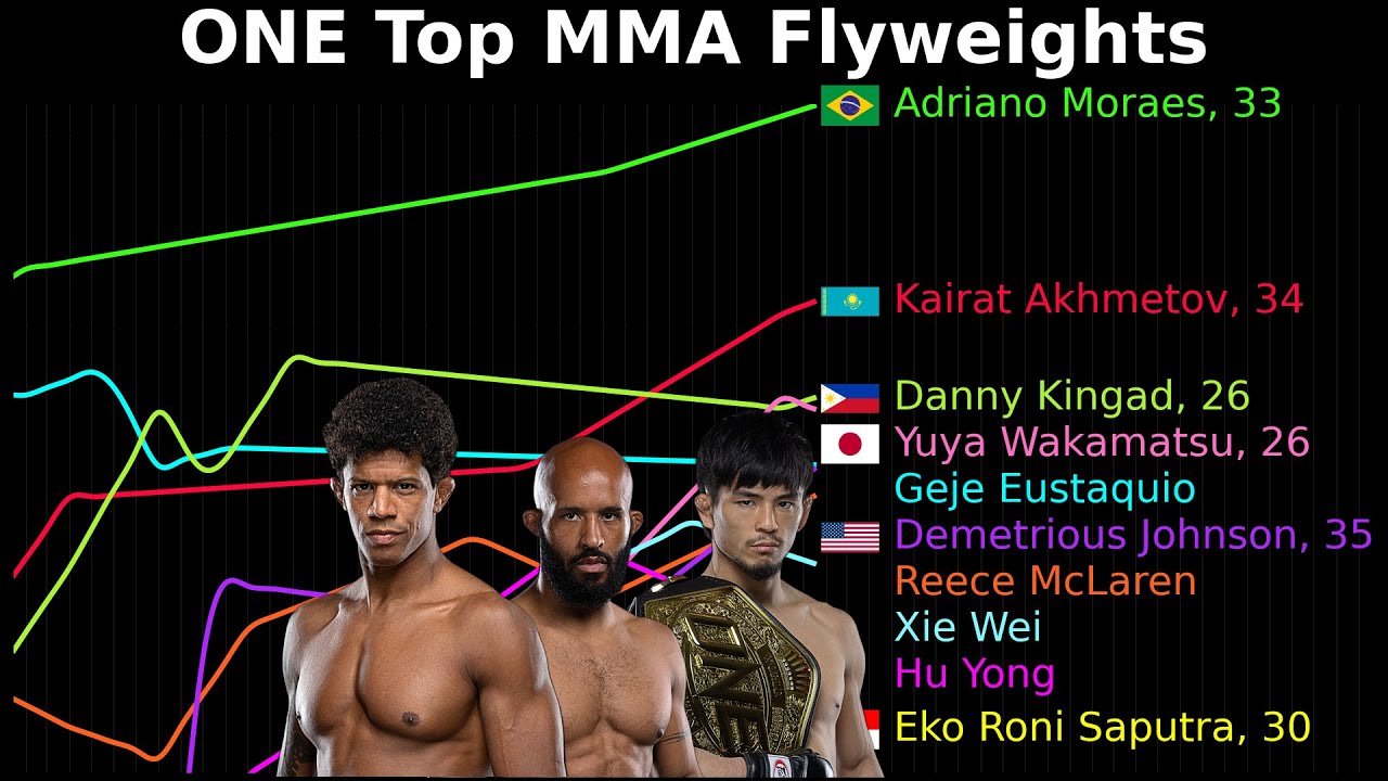 Every ONE MMA Flyweight Ranked in Animated Charts (2025-11-3)