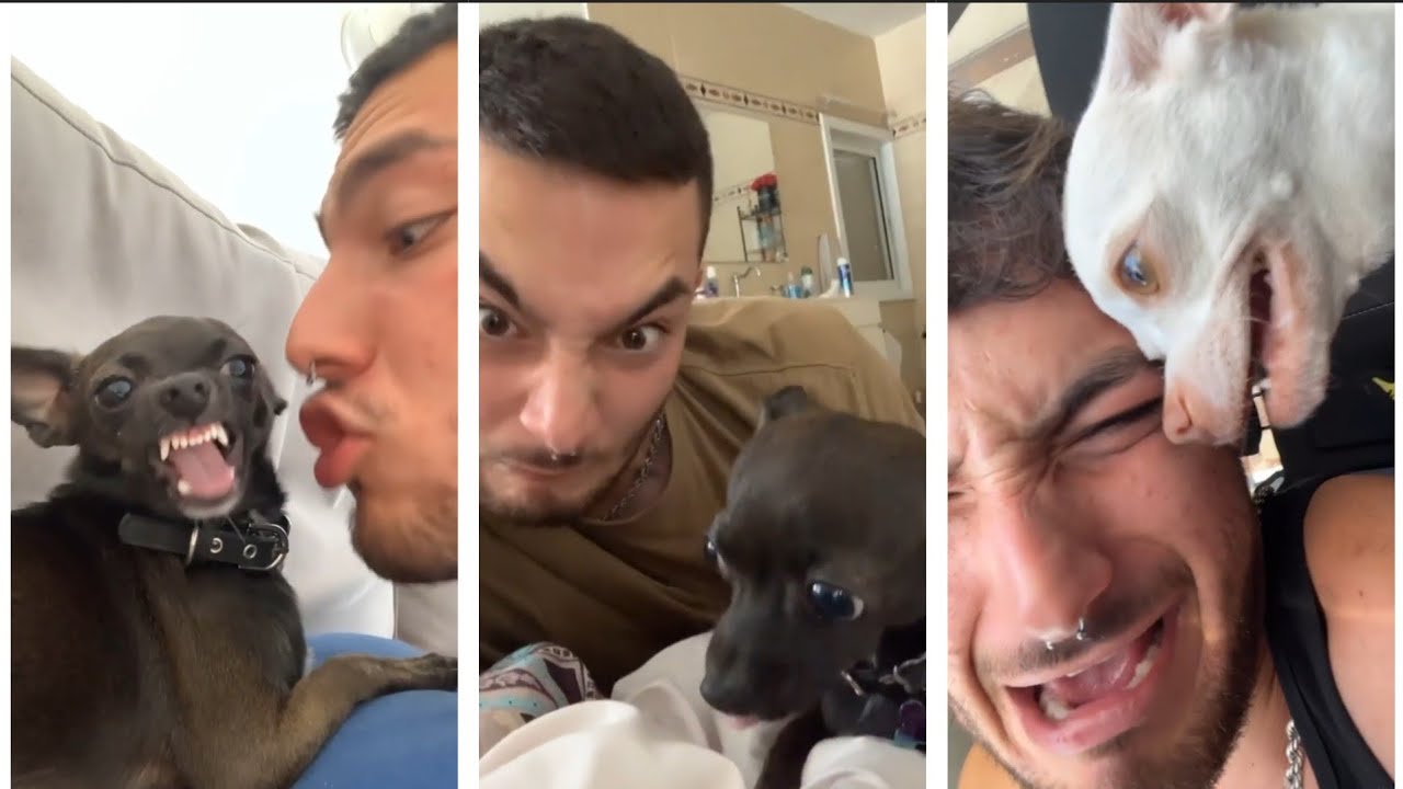 FUNNY TIKTOK mreviatar niki husband's louis ozeri black dog  #mreviatarlouie #louisozeri #louieozeri