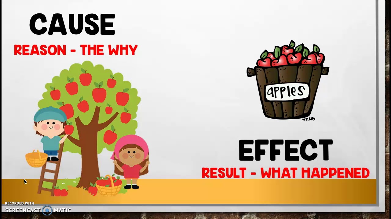 Cause and Effect Connections