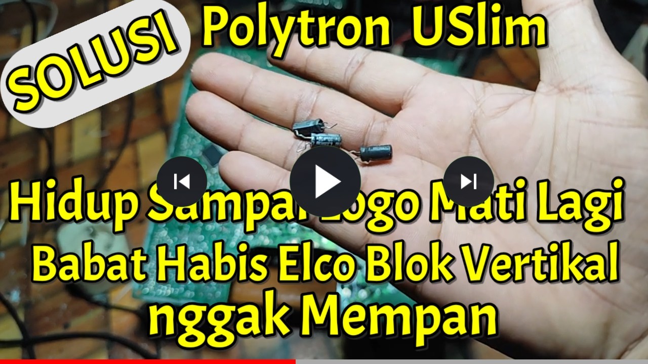POLYTRON USLIM HIDUP SAMPAI LOGO MATI LAGI