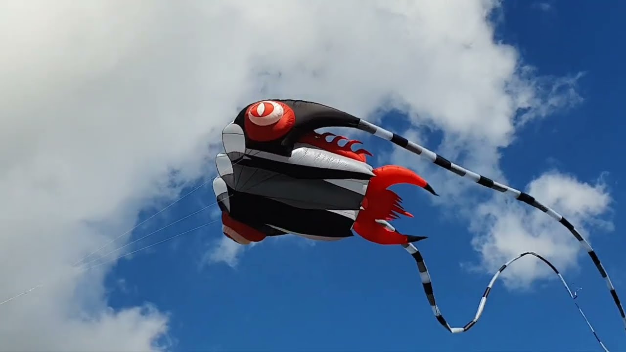 Trilobite Kite 7 - 10 - 16 - 32