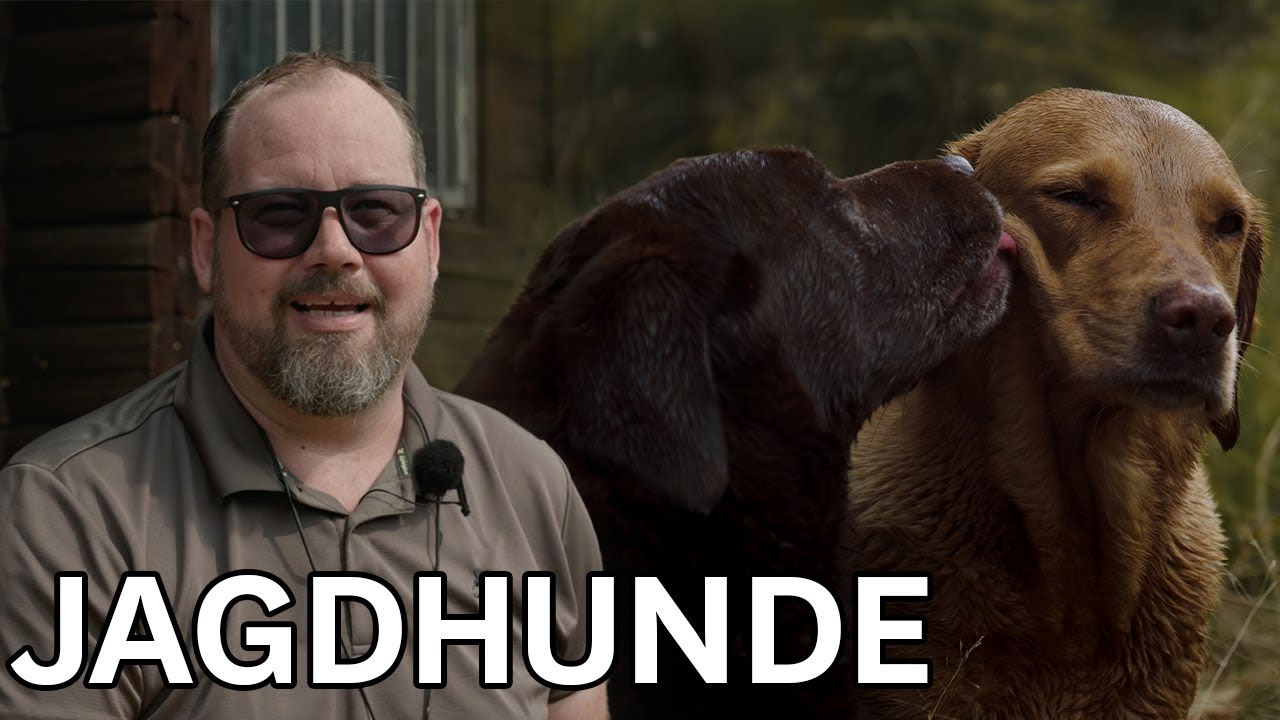 10 Minuten f&uuml;r den Hund reichen aus! |&nbsp;J&Auml;GER mit Jan Henriksen