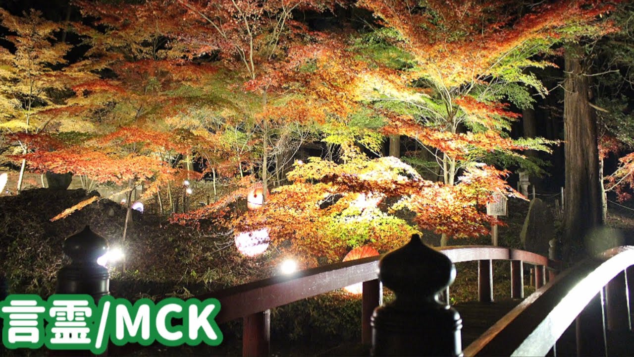 言霊/MCK