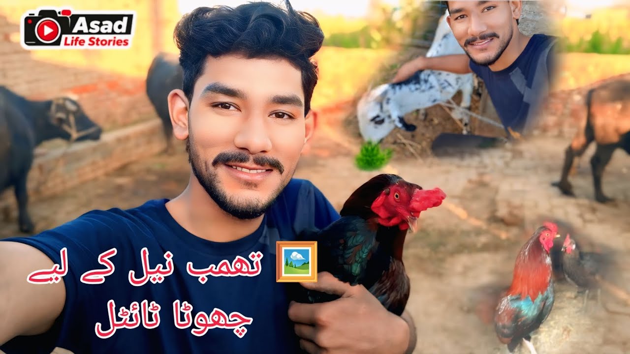 “My Simple Village Morning Routine”)