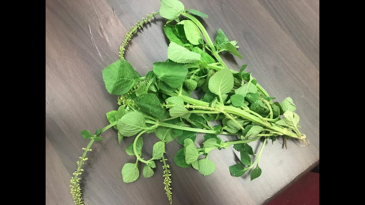 EFFECTS OF DAYS AND ITS SIGNIFICANTS , USE THIS LEAF TO BOOM YOUR BUSINESS- GREAT POWER MINISTRY