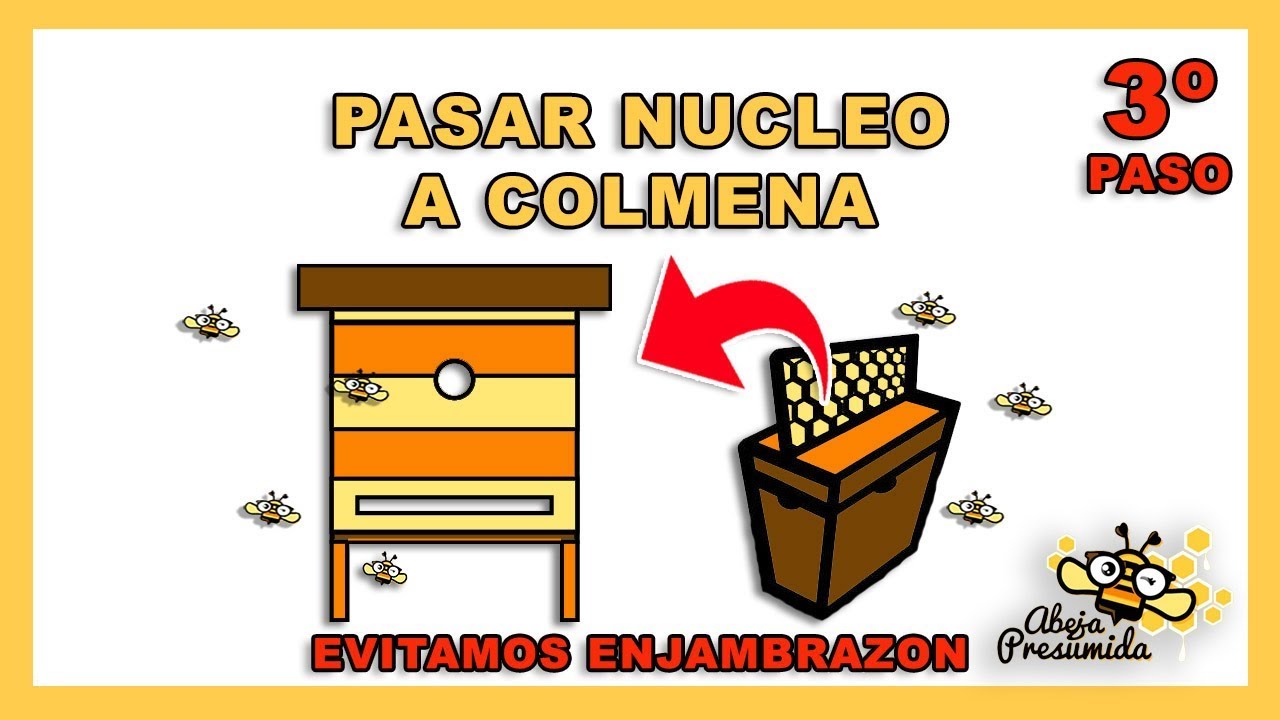 Pasar NUCLEO a COLMENA 🐝🧡🎥 Paso 3